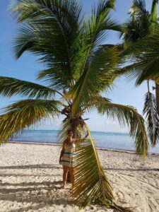 big palm and a beach