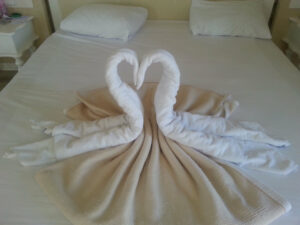 Towel swans