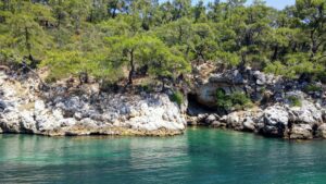 Sea, rocks, trees