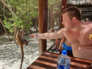 Feeding a Coati