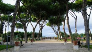Orange Trees Garden
