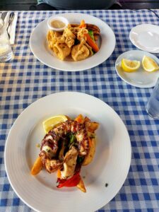 Octopus and calamari