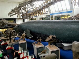 Natural history museum