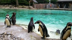 ZSL London Zoo