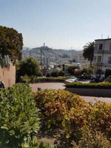 View from Lombard Street