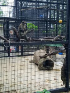 Hong Kong Zoological and Botanical Gardens