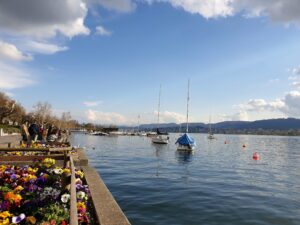 Lake Zurich