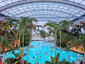 Palm - front view, Therme Bucharest