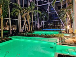 Palm - mineral pools, Therme Bucharest