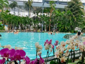 Palm pool Therme Bucharest
