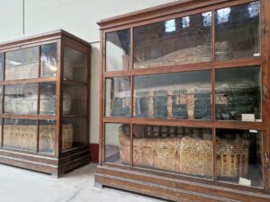 Egyptian Museum mummies