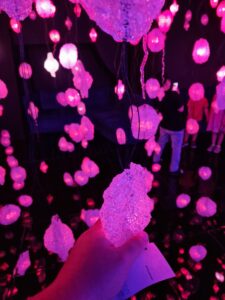 Your Brain to Me, My Brain to You Exhibition 2