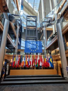 European Parliament flags