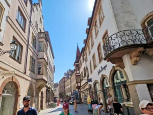 Strasbourg view