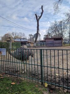 Romanescu Park Craiova & Zoo Craiova