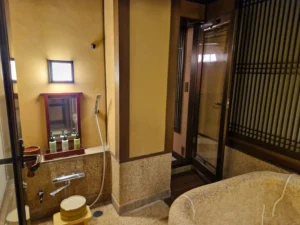 Mount View Hakone bathroom and shower