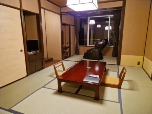 Mount View Hakone livingroom