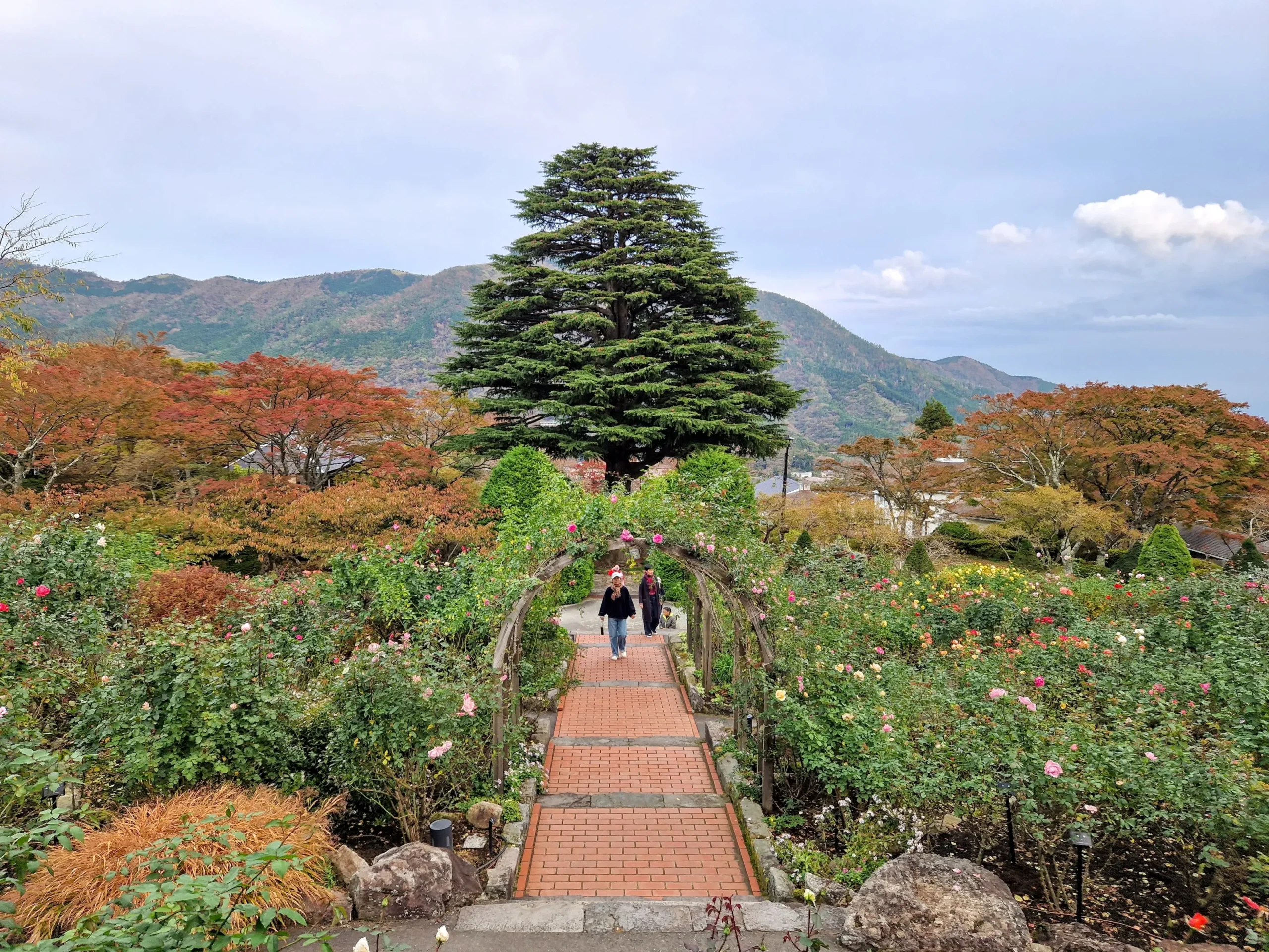 Hakone Gōra Park view | CheckinAway