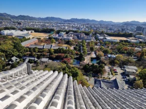 Himeji castle - view from the top