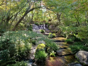 Koko-en gardens Himeji