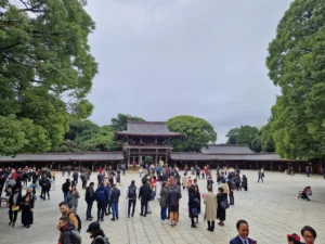 Meiji Jingu view