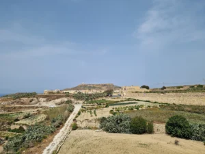 Gozo views