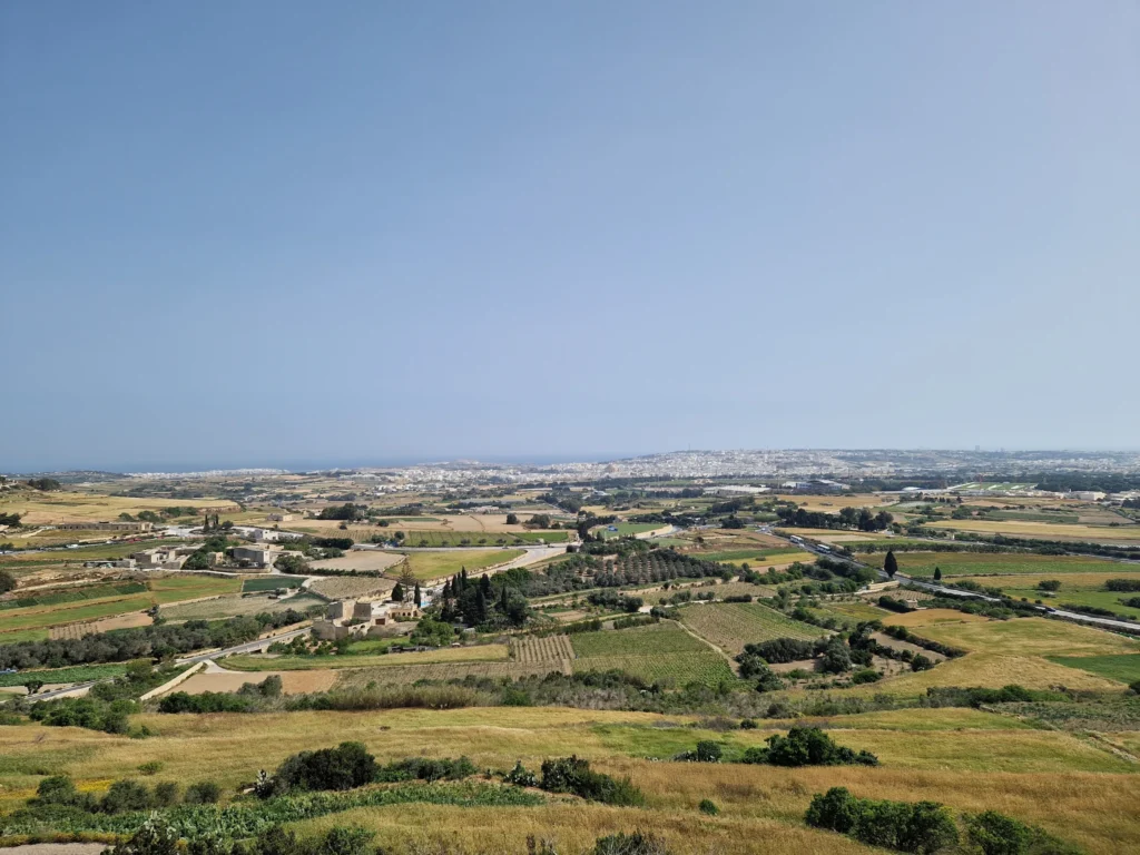 Mdina views from above
