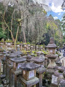 Kasuga Taisha view