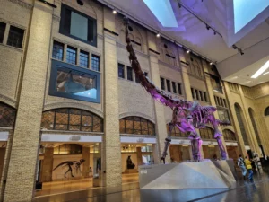Royal Ontario Museum - Toronto