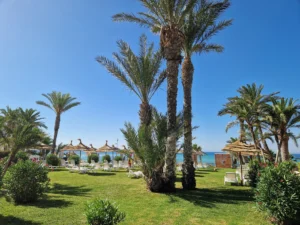 TUI BLUE Palm Beach Hammamet sunbeds in the garden