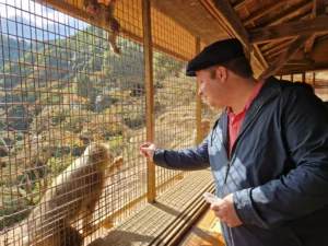 Arashiyama Monkey Park