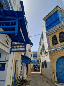 Hammamet medina view