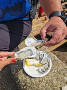 Oysters in Whitstable