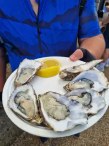 The Forge oysters
