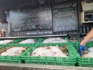 The Forge oysters selection