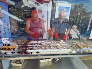West Whelks oysters