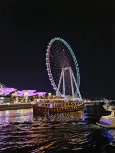 Ain Dubai night view