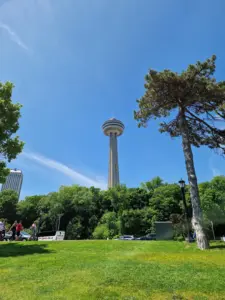 Skylon Tower view