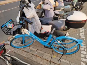 Beijing transport - bikes