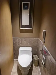 Ramada Xi'An apartment toilet 2