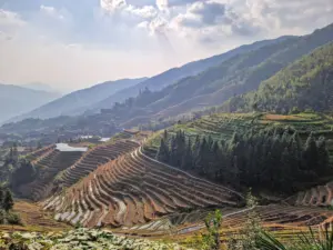 Longji Rice Fields