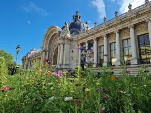 Petit Palais