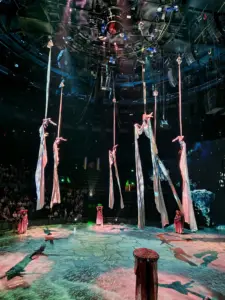 Shanghai Acrobatic Show