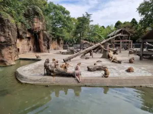Shanghai Zoo