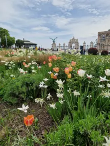 Buda Castle