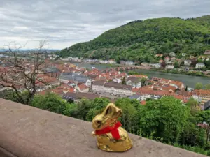 Heidelberg Castle views