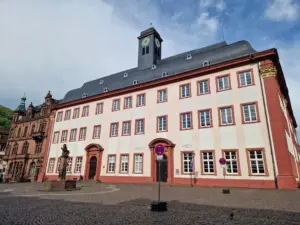 Heidelberg University
