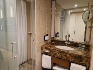 Occidental Dresden Newa bathroom