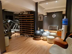 Pullman Brussels Midi gym