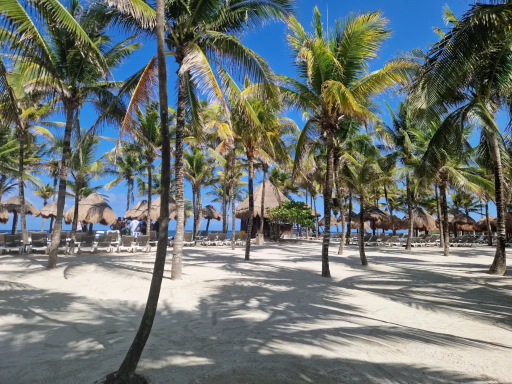 Grand Palladium beach amazing
